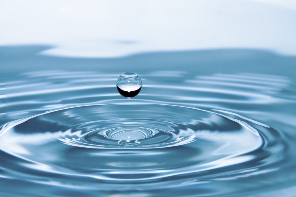 Food For Thought – The Indispensable Man