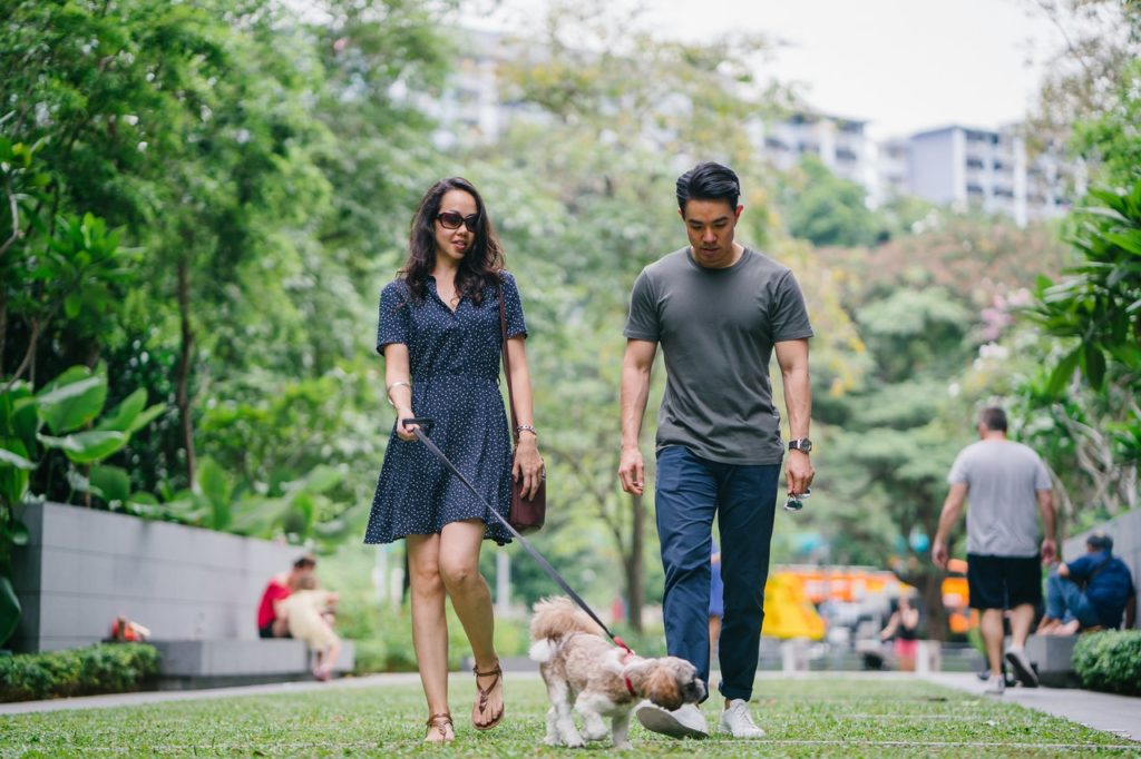 Grumpy Old Man – Walking Your Dog