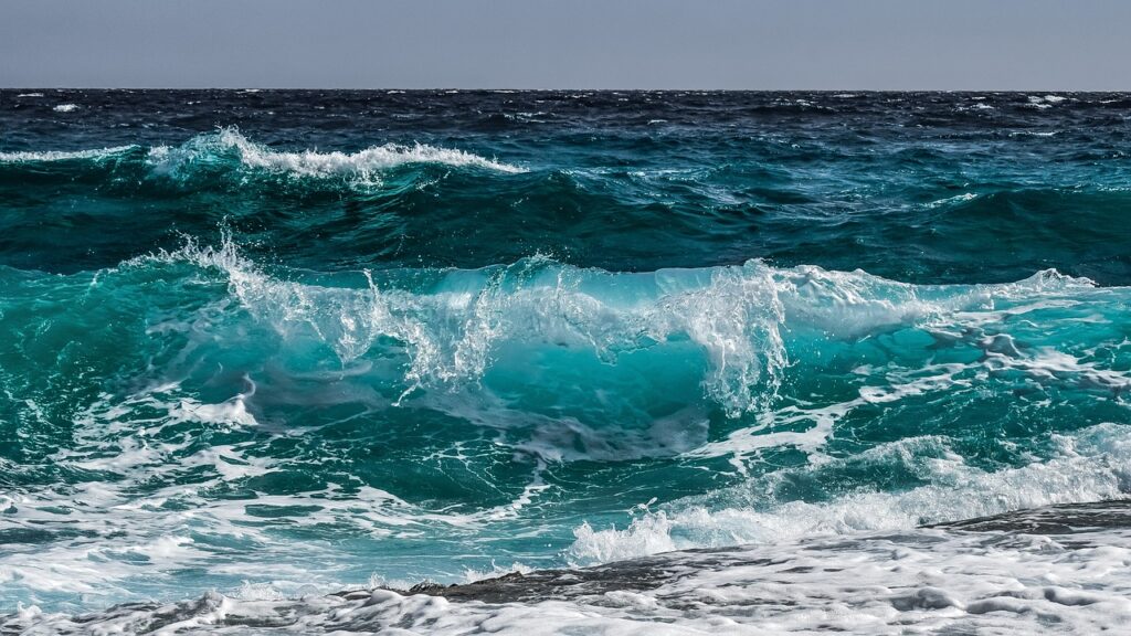 World Oceans Day – 8th June