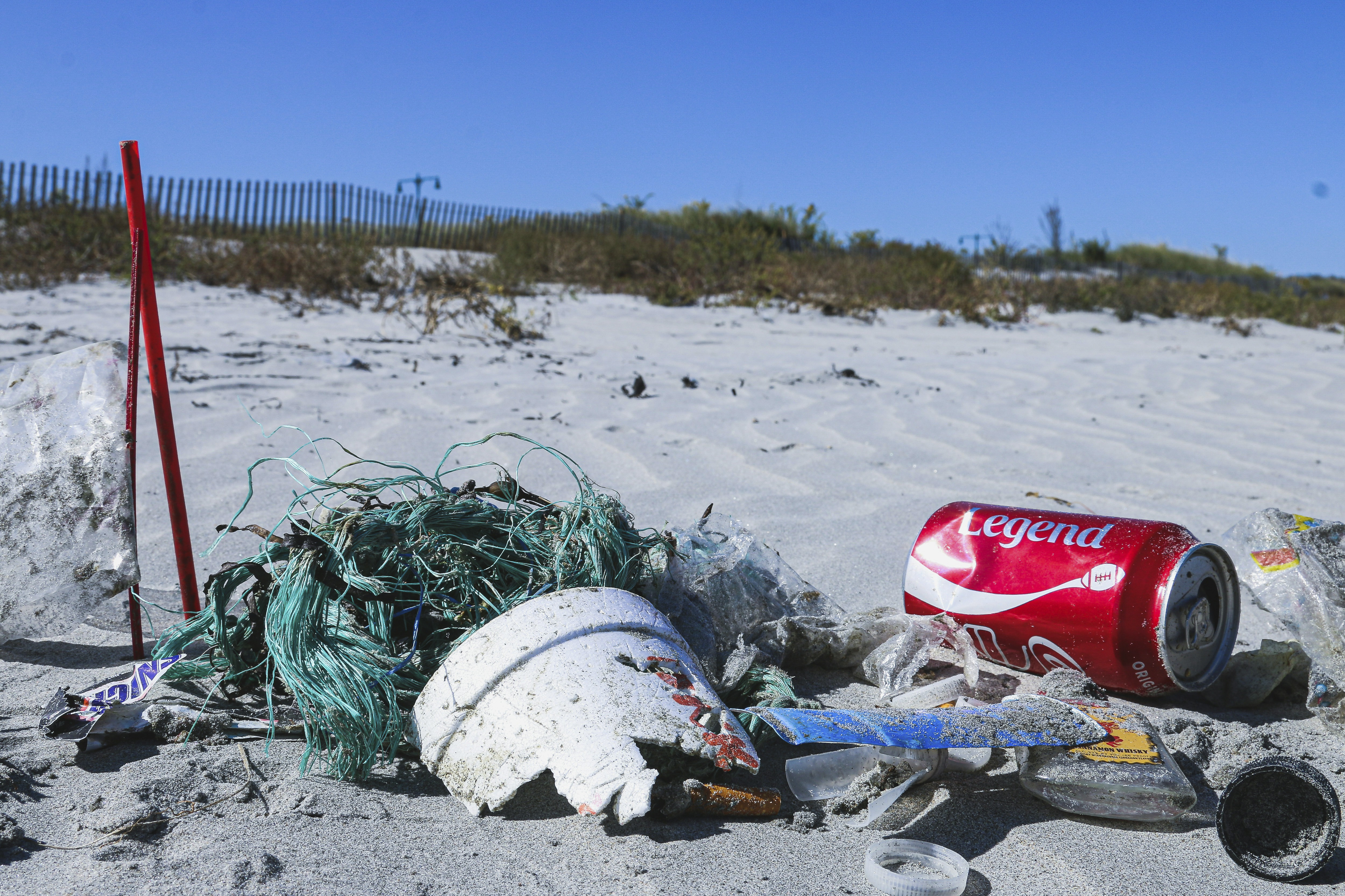 The GOM Diary: World Cleanup Day